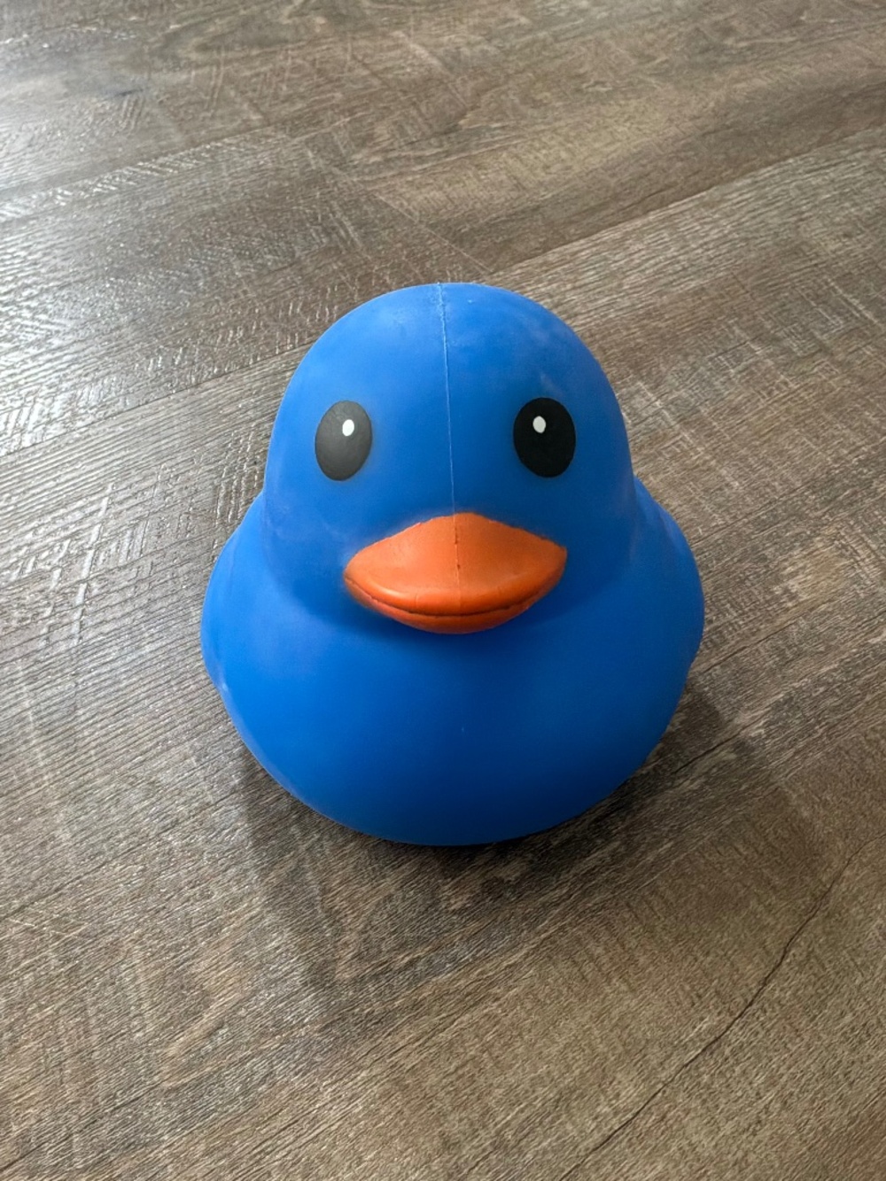 Sunny Days Blue Duck